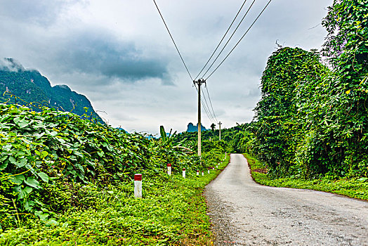小,道路,雨林,国家公园,越南,亚洲