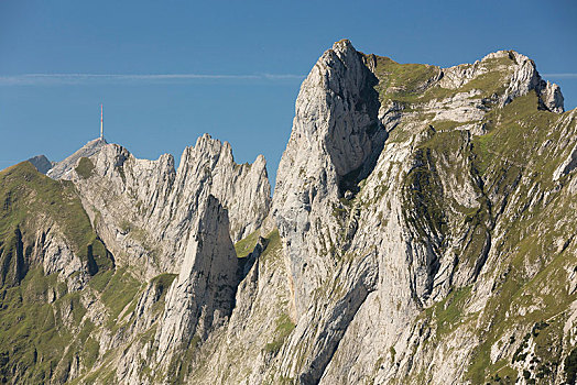山,正面,阿彭策尔,山脉,瑞士,欧洲
