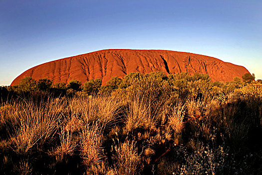 早,早晨,乌卢鲁巨石,艾尔斯岩,乌卢鲁国家公园,北领地州,澳大利亚