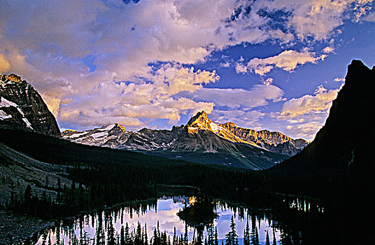 大教堂,顶峰,欧哈拉湖,区域,幽鹤国家公园,不列颠哥伦比亚省,加拿大