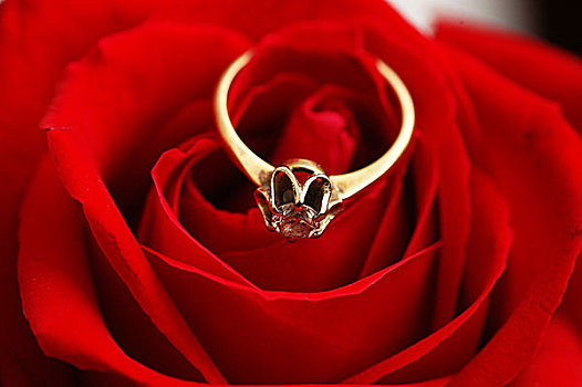 黄金,戒指,钻石,红玫瑰