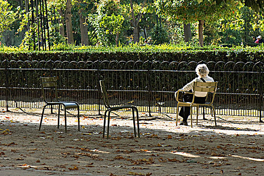 法国,巴黎,坐,女人,一个,公园,后视图