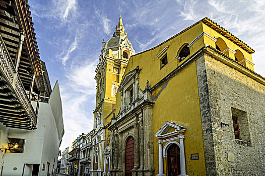 大教堂,卡塔琳娜,看,上方,广场,老城,卡塔赫纳,哥伦比亚