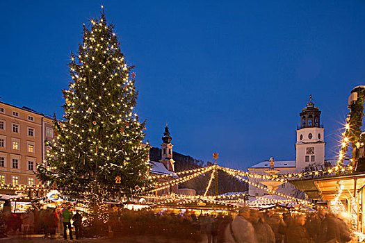 圣诞树,圣诞市场,萨尔茨堡,奥地利