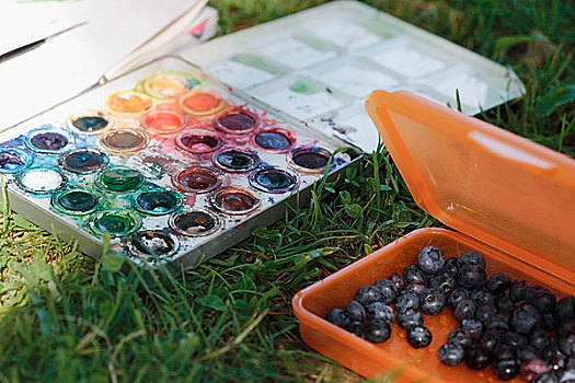 水彩,颜料,容器,蓝莓,草地