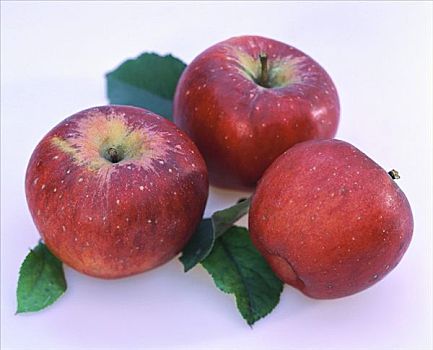 红苹果,叶子,品种