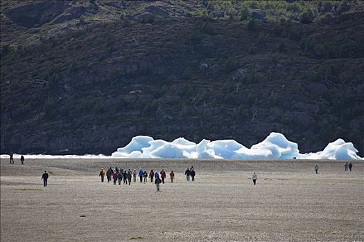 游客,冰山,托雷德裴恩国家公园,巴塔哥尼亚,智利,南美
