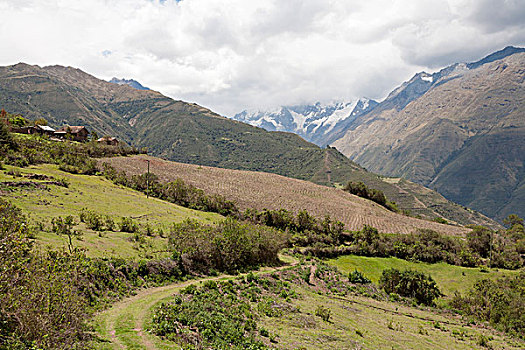 风景,内华达,山,靠近,秘鲁,南美