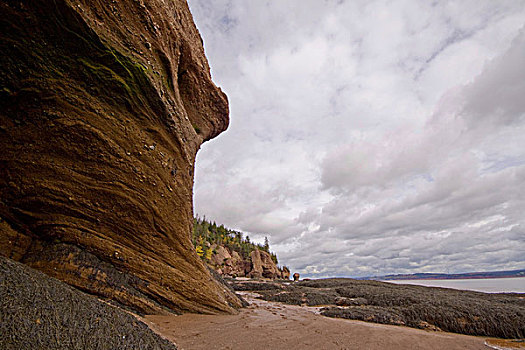 独特,霍伯威尔岩,芬地湾,新布兰斯维克,加拿大