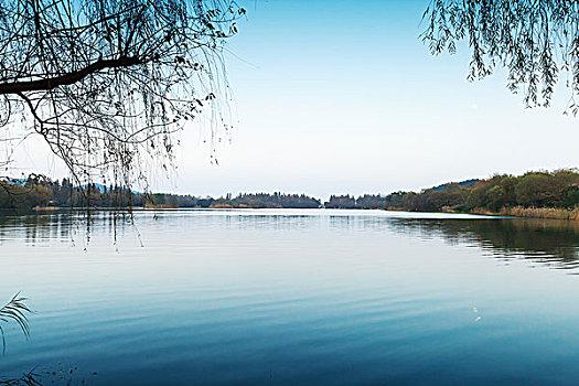 安静,海边风景,西湖,公园,杭州,市中心,中国