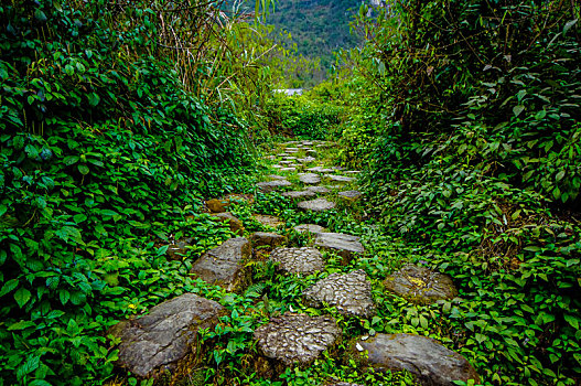 贵州大小七孔景区