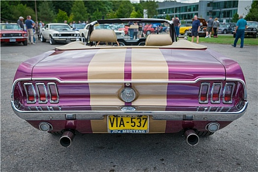 紫色,金色,经典,福特野马汽车,敞篷车,后视图