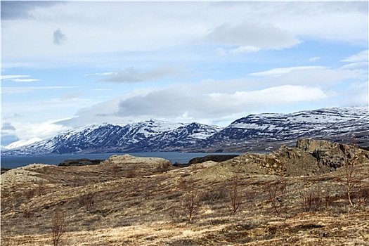 雪,火山,山景,冰岛