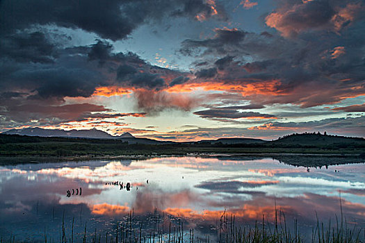 生动,日落,云,雷暴,反射,海狸塘,靠近,冰川国家公园,印第安人保留地,蒙大拿,美国