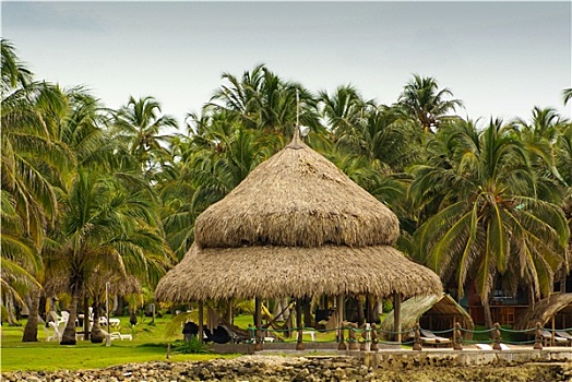 传统,房子,岛屿,哥伦比亚