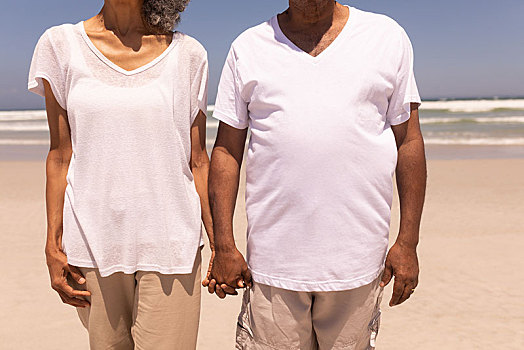 老年,夫妻,握手,站立,海滩