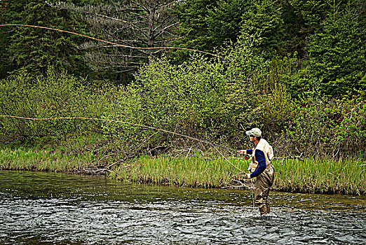 飞钓,春天,溪红点鲑,阿尔冈金公园,安大略省,加拿大