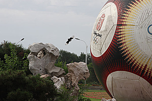 足球,雕塑,秦皇岛,绿地,美化,城市,环境,设计