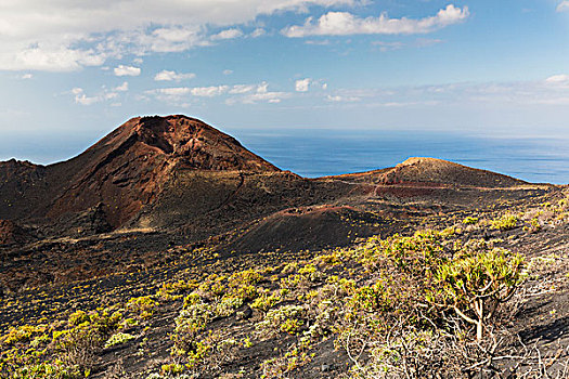 火山地貌,靠近,火山口,帕尔玛,岛屿,加纳利群岛,西班牙