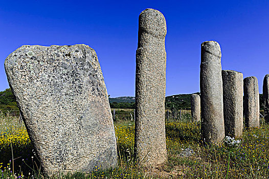 史前,残留,竖石纪念物,科西嘉岛,法国,欧洲