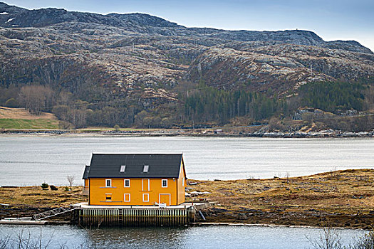 挪威,乡村,黄色,木屋,海岸