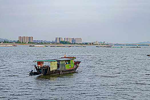 杭州钱塘江南岸风光