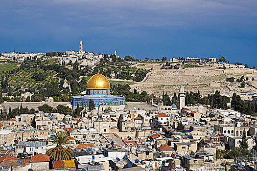 老城,风景,圣殿山,圆顶清真寺,橄榄,耶路撒冷,以色列
