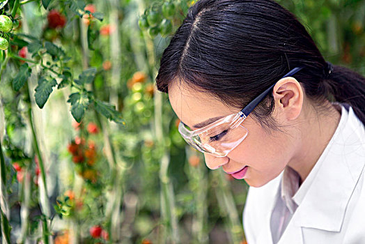 正在大棚里进行科学研究的女士