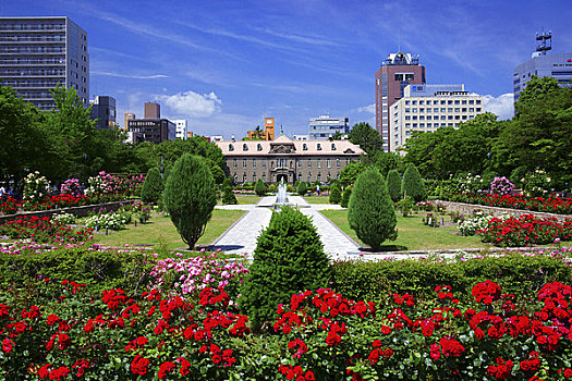 札幌,历史,博物馆,花园
