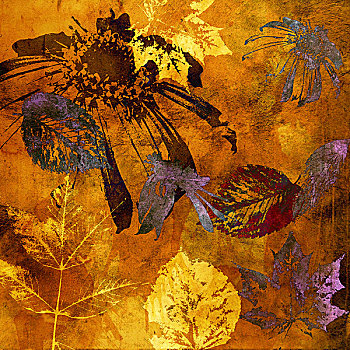 艺术,花,叶子,秋天,背景,卡片,金色,褐色