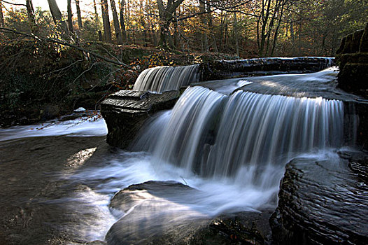 瀑布,秋天,树林,国家,公园,波厄斯郡,威尔士,英国,欧洲