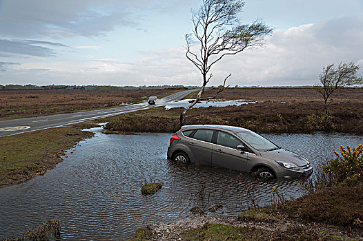 福特汽车,关注,洪水,沟,控制,路湿,艺术家,未知