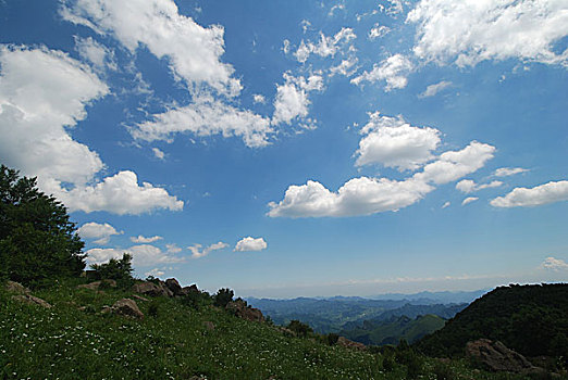 盛夏的百花山