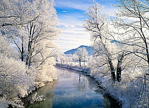 白霜,霜,高处,河,洛伊萨赫河,靠近,正面,上巴伐利亚,德国,欧洲