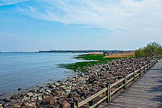 上海宝山炮台湾湿地公园风光