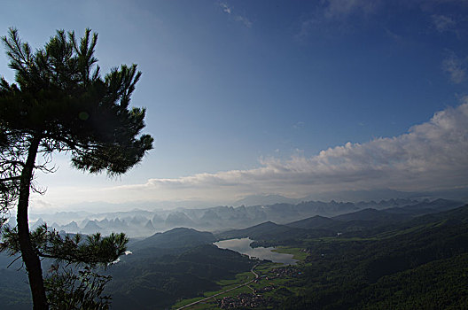 松树和山脉