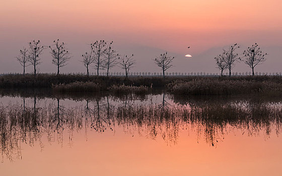 沙湖农场,沙湖景区