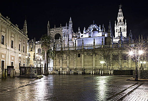 大教堂,夜晚,塞维利亚,西班牙