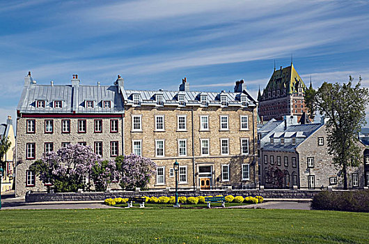 老,古建筑,圣丹尼斯,魁北克老城,城市,魁北克,加拿大