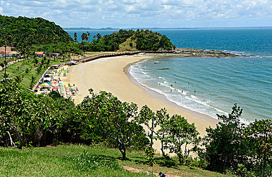 海滩,东北方,海岸,巴西,南美