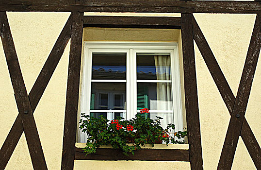 窗户,传统,法国