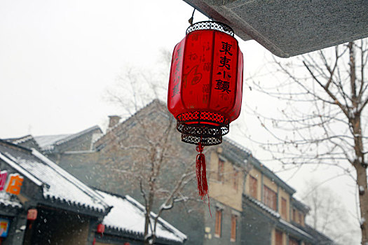 元宵佳节遇瑞雪,雪中美景醉游人