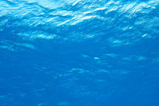 水下,向上,角度,海洋,表面,北方,海湾群岛,洪都拉斯,中美洲