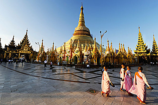 女僧侣,游客,正面,大金塔,仰光,缅甸,东南亚,亚洲