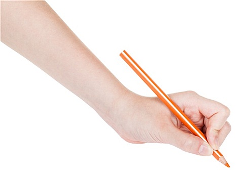 手,橙色,铅笔,隔绝,白色背景