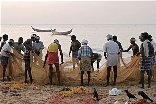 捕鱼者,网,早晨,海滩,南,科瓦拉姆,喀拉拉,印度,亚洲
