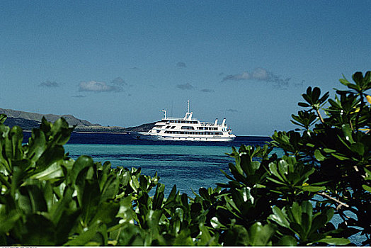 蓝色泻湖,游船,岛屿,斐济