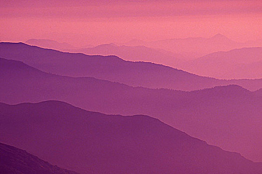 下午,薄雾,上方,内华达山脉,山麓,红杉国家公园,加利福尼亚