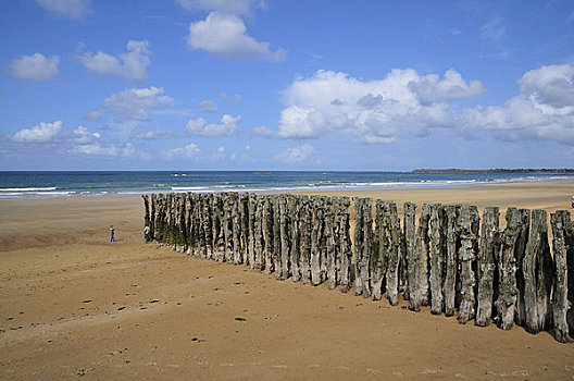 木质,柱子,海滩,伊勒-维莱讷省,布列塔尼半岛,法国