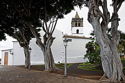 教堂,波多黎各,特内里费岛,加纳利群岛,西班牙,欧洲